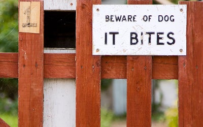 Dog Biting Sign